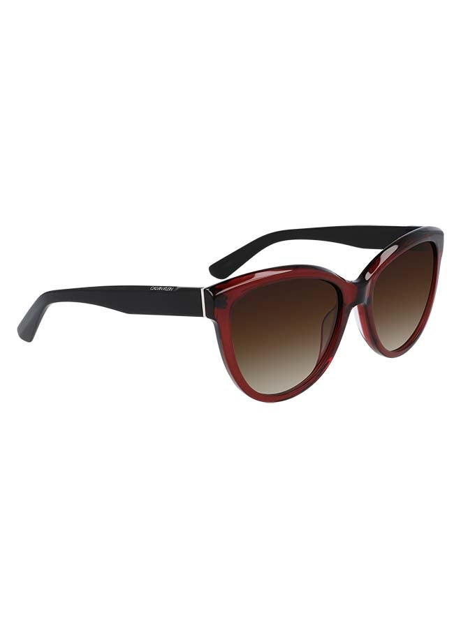 CALVIN KLEIN Women's Full Rim ZYL Modified Rectangle  Sunglasses CK21709S-605-5618  - Image 3