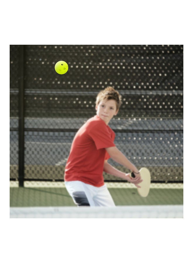 Generic 12-Piece Outdoor Pickleball Set  - Image 4