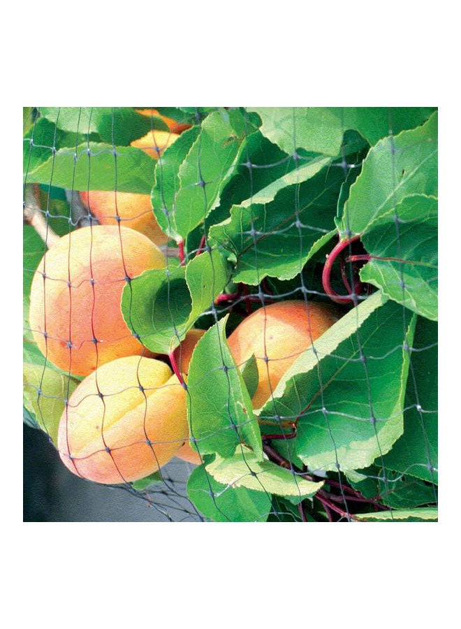 Generic Anti Bird Protect Plant Cover Netting Mesh Green  - Image 5