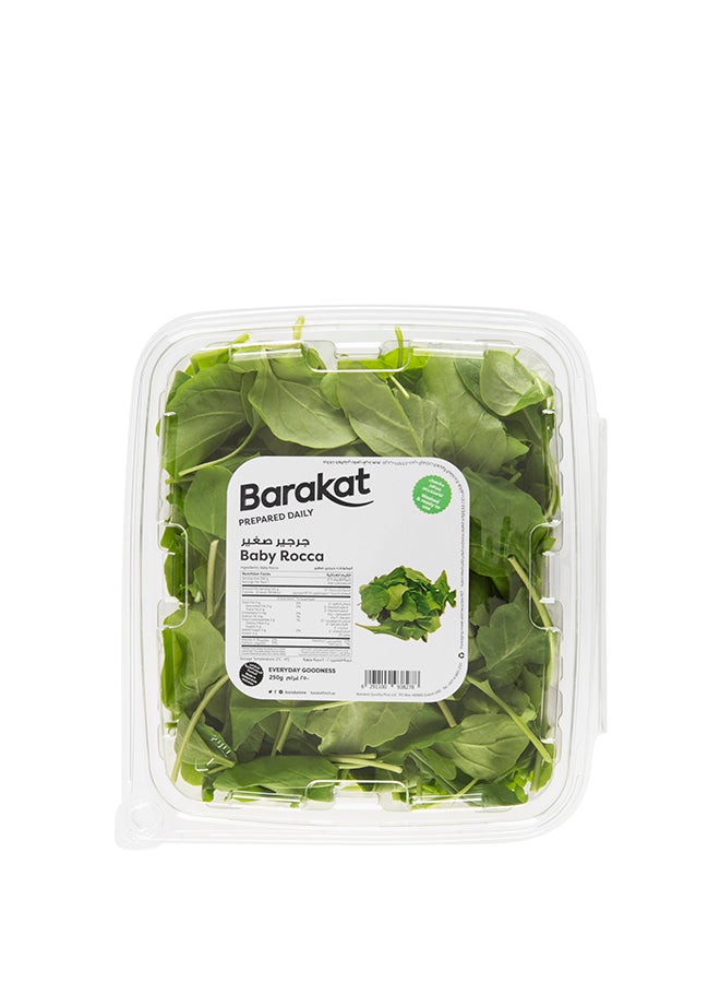 null - Fresh Baby Rocca Leaves UAE 250grams - Image 1