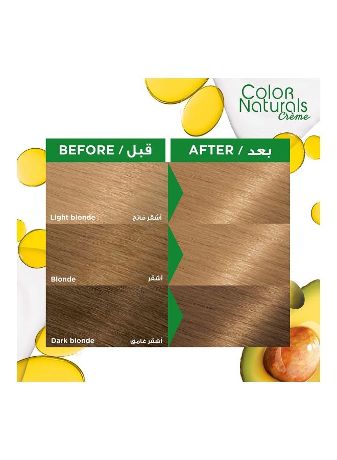 Color Naturals 8 Light 8 Light Blonde Colourant 60 Gram, Developer 70 Milliliter, Conditioner 5ml