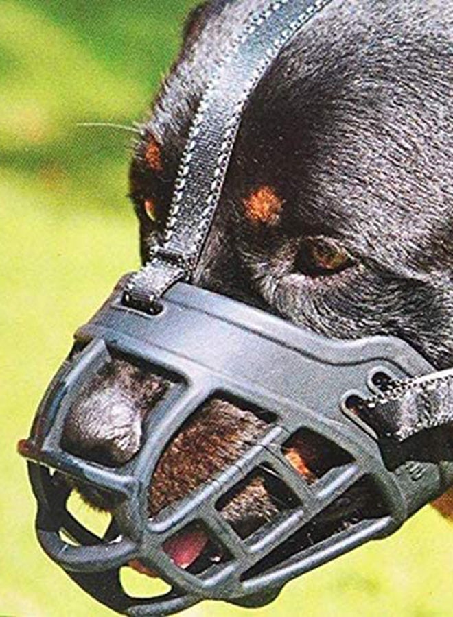 مومو بير قناع فم مخصص للكلاب قابل للتعديل 7 x 19.3 x 13.3سم - Image 3