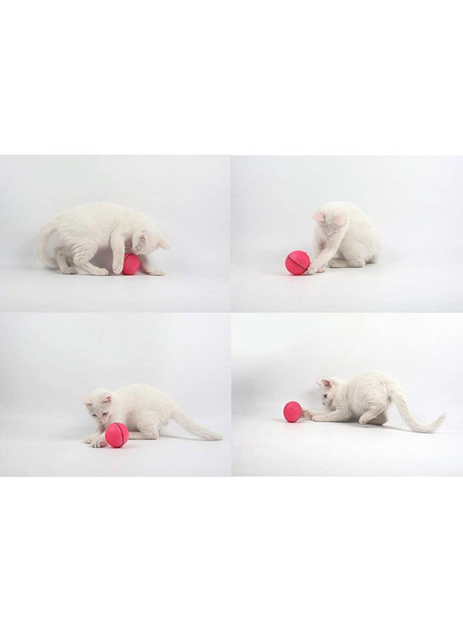 Mumoo Bear Interactive Cat Toy 360 Degree Self Rotating Ball 6.4cm  - Image 4