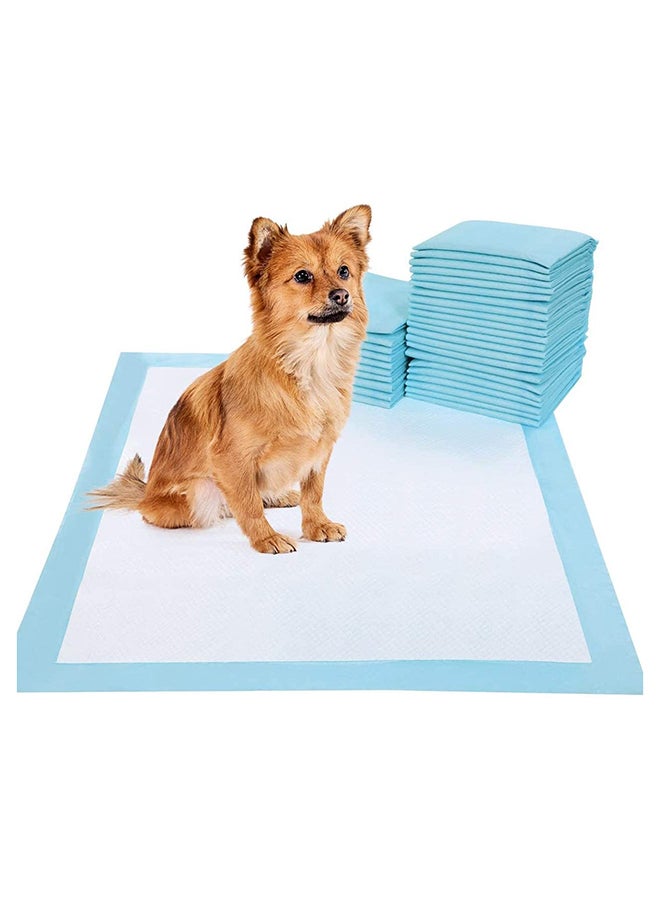 Mumoo Bear - 100 Piece Pet Pee Disposable Absorbent Quick Drying Pads Blue ‎31.2 x 23.6 x 14.4cm - Image 1