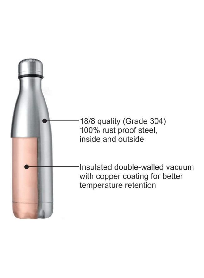 Vacuum Insulated Flask Water Bottle Silver