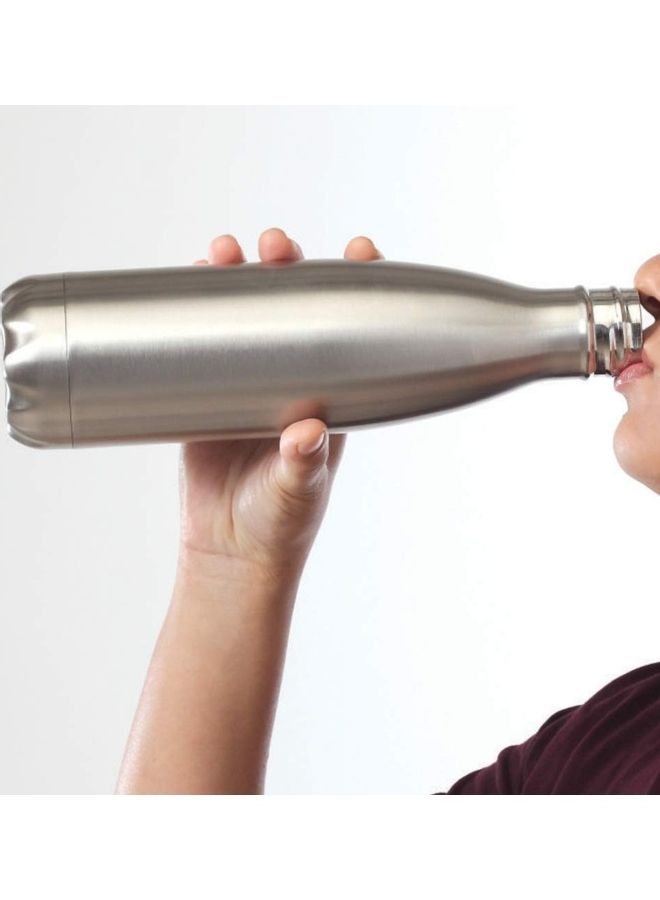 Vacuum Insulated Flask Water Bottle Silver