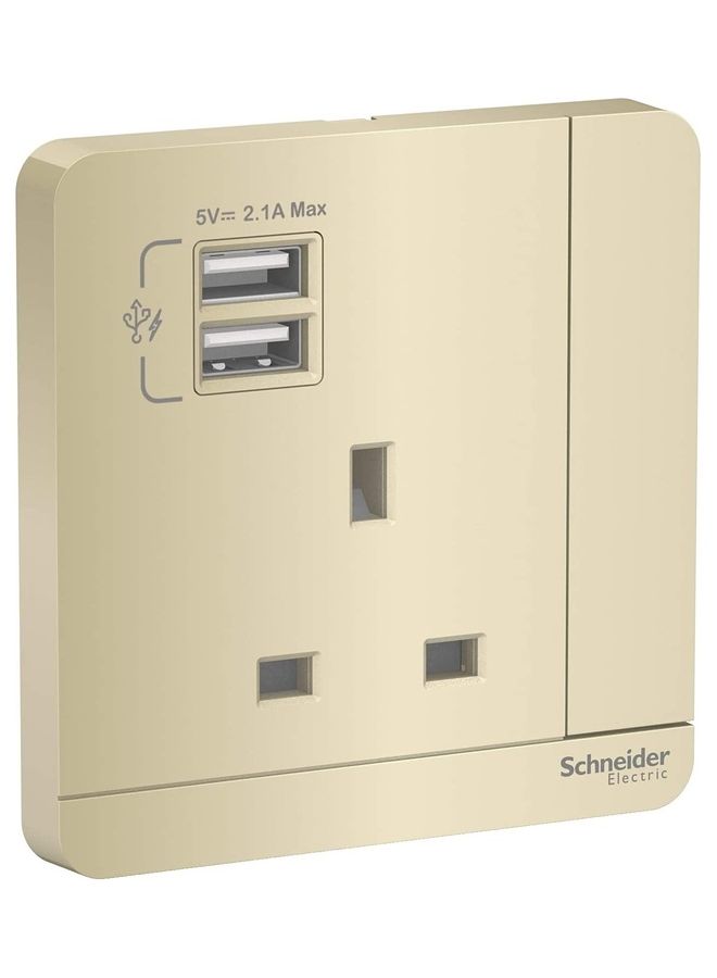 Schneider 13A Combined Socket with Dual USB ports Golden