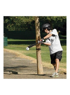 Generic Baseball Percussion Training Equipment  - Image 5