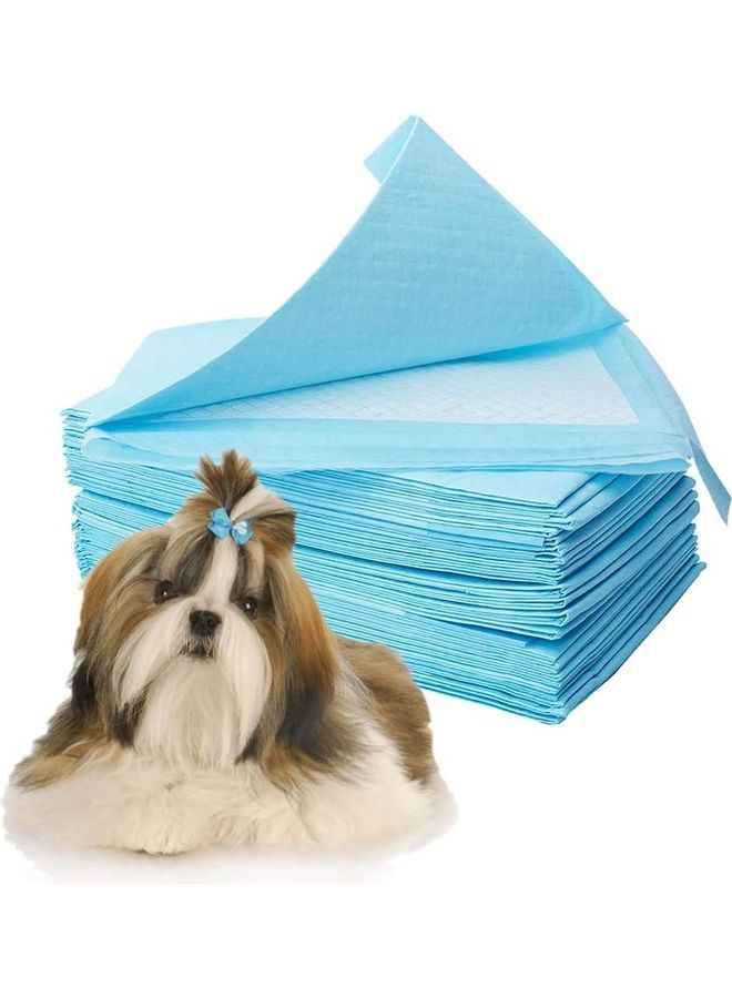 XiuWoo 40-Piece Pet Pee Disposable Training Pad Blue/White - Image 1