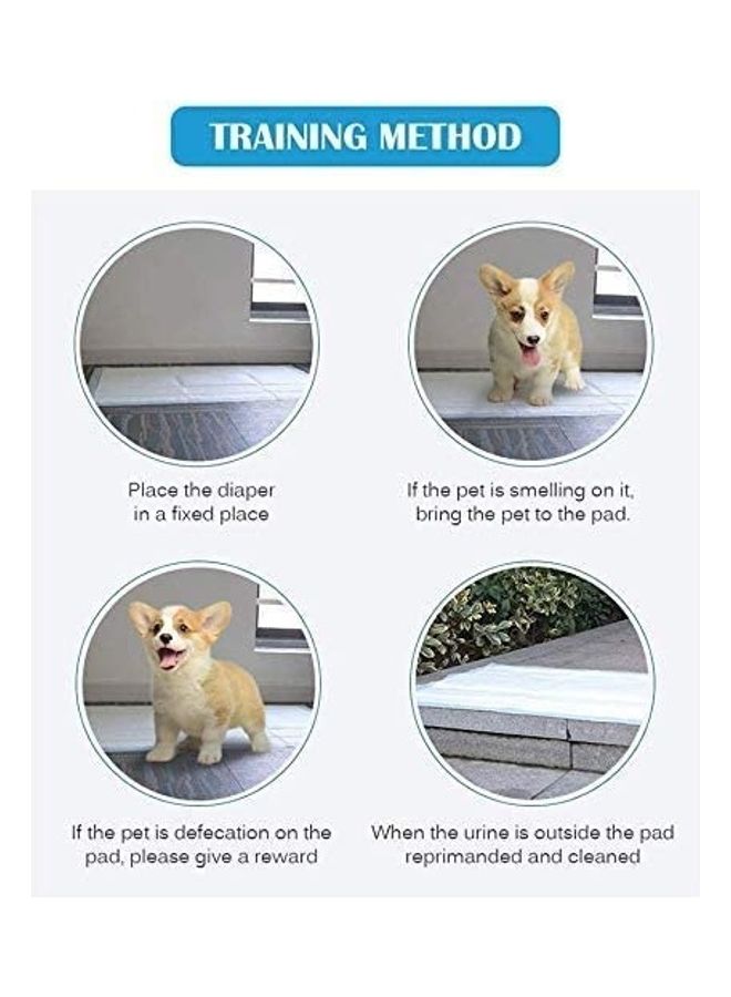 XiuWoo 50-Piece Pet Pee Disposable Training Pad Blue - Image 4