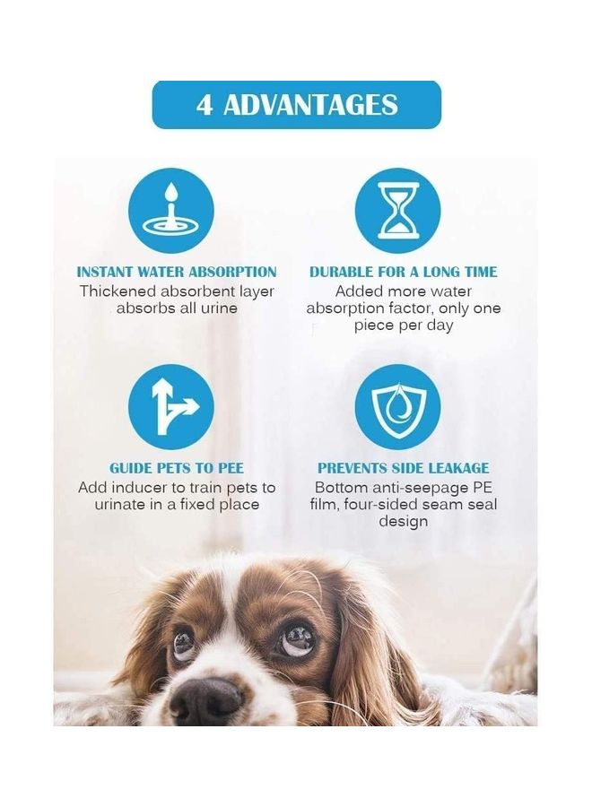 XiuWoo 50-Piece Pet Pee Disposable Training Pad Blue - Image 5