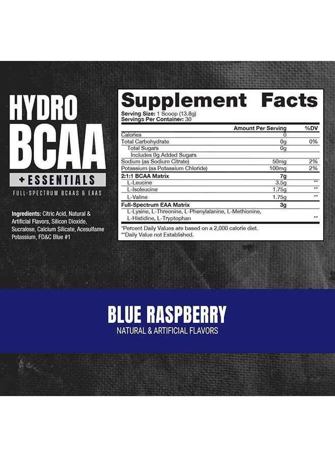 HydroBCAA + Essentials - Blue Raspberry (30 Servings)