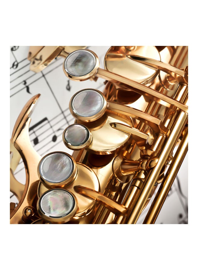 Muslady 9-Piece Saxophone Buttons - Image 2