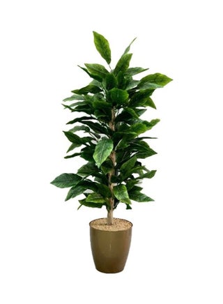 Artificial Potted Tree Green/Brown 120x50cm - v1625480617/N48745072A_1