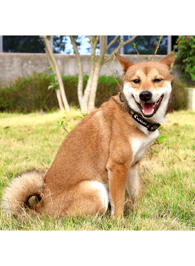 Adjustable Collar Multicolour 23x4x8cm - Image 3