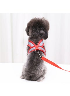 Harness And Leash Set Red 15x1x15cm - v1625487536/N48742874A_2