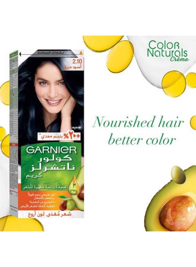 Garnier Color Naturals Permanent Hair Color 2.1 Blue Black  - Image 2