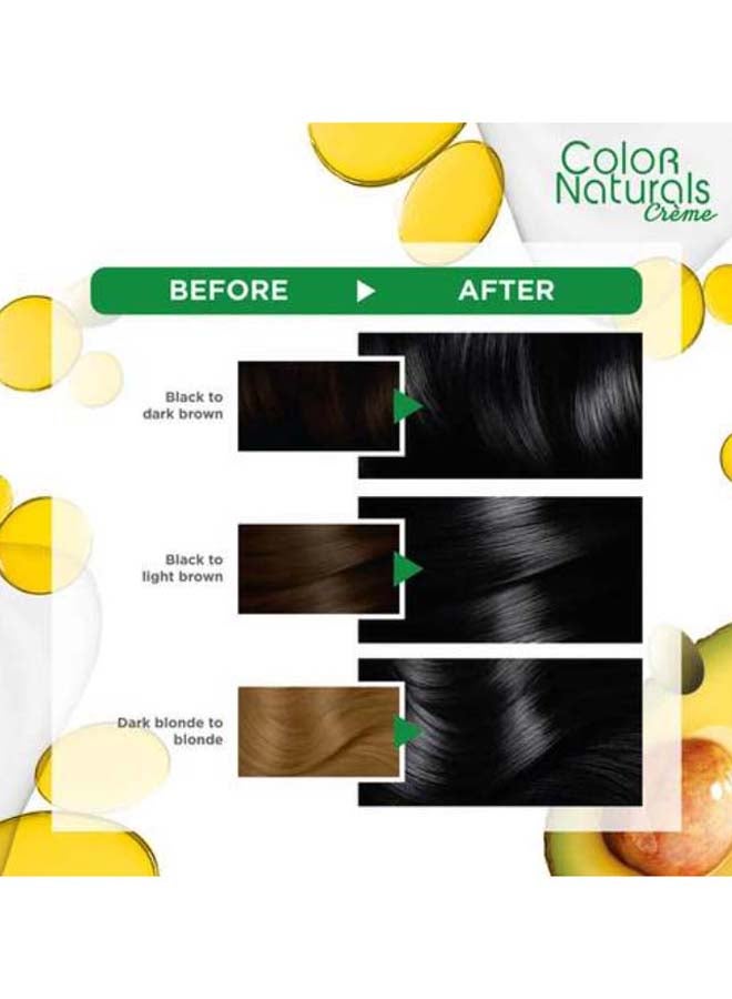 Garnier Color Naturals Permanent Hair Color 2.1 Blue Black  - Image 3