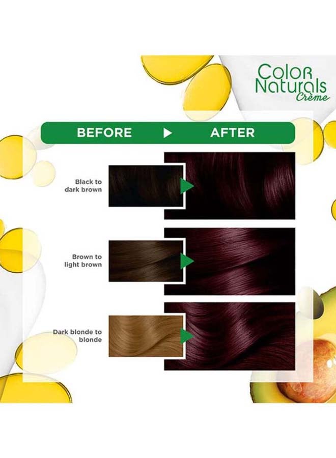 Garnier - Color Naturals Permanent Hair Color Cream Packaging may vary 3.6 Deep Red Brown - Image 1