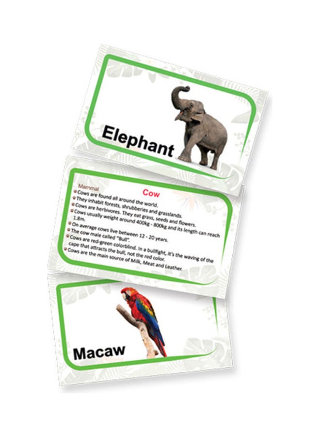 Fluffy Bear - 55-Piece Animals Kingdom Flash Cards - Image 1