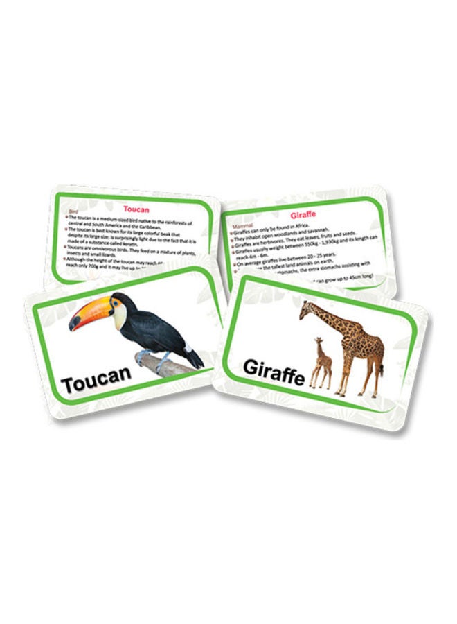 Fluffy Bear - 55-Piece Animals Kingdom Flash Cards - Image 1