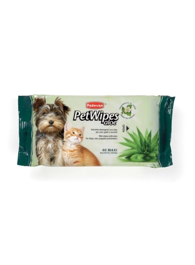 Aloe Wipe 40 Sheets