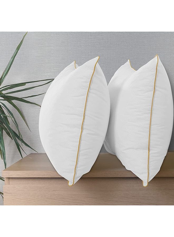 Blueberry - Premium Quality Piping Pillow cotton White 50x75cm - Image 1