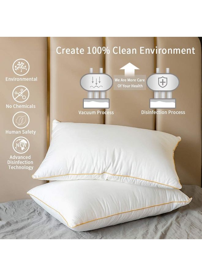 Blueberry - Premium Quality Piping Pillow cotton White 50x75cm - Image 1