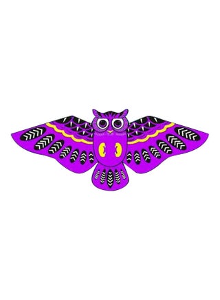 Owl Single Line Flying Kite - v1625823759/N48998979A_1