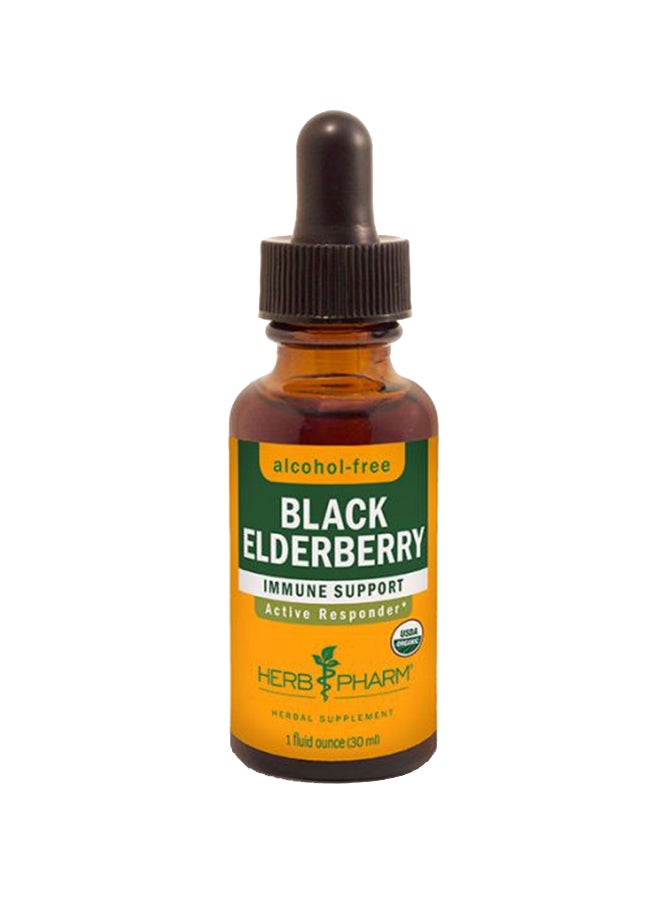 HERB PHARM Black Elderberry Glycerite 1 OZ:00075 