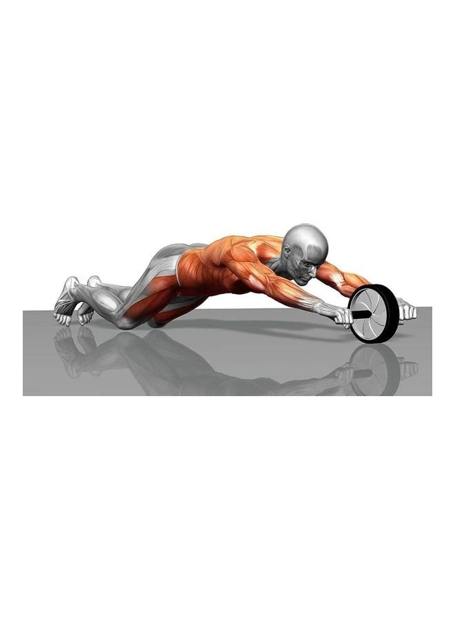 Max Strength Gym Fitness Abdominal Roller Wheel - Image 4