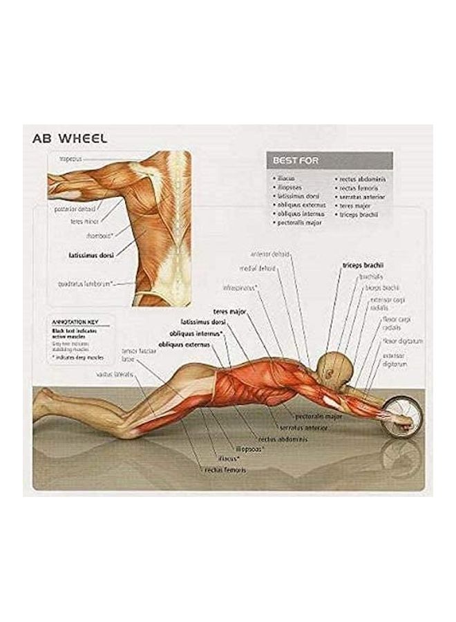 Max Strength Gym Fitness Abdominal Roller Wheel - Image 5