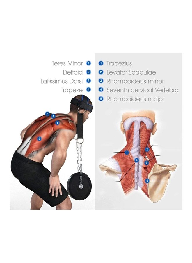 ماكس سترينث حزام تثبيت الرقبة لرفع الأثقال - Image 4