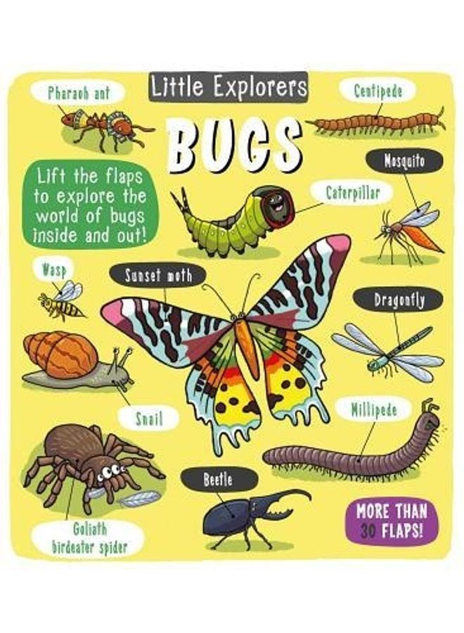 Little Explorers Paperback English