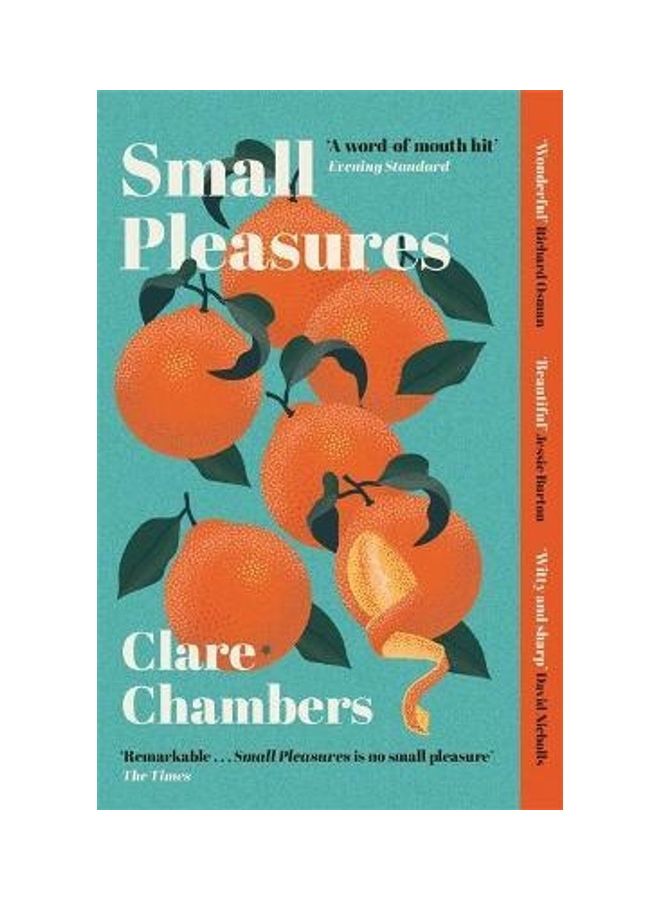 Small Pleasures Paperback English by Clare Chambers