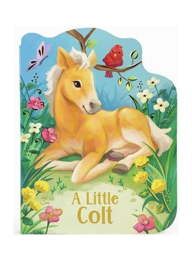 A Little Colt Paperback English by Rosalee Wren - 43800