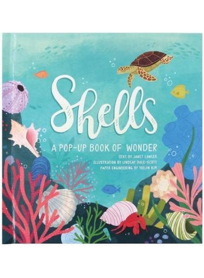 Shells A Pop Up Book Of Wonder Paperback English by Janet Lawler - 43649 