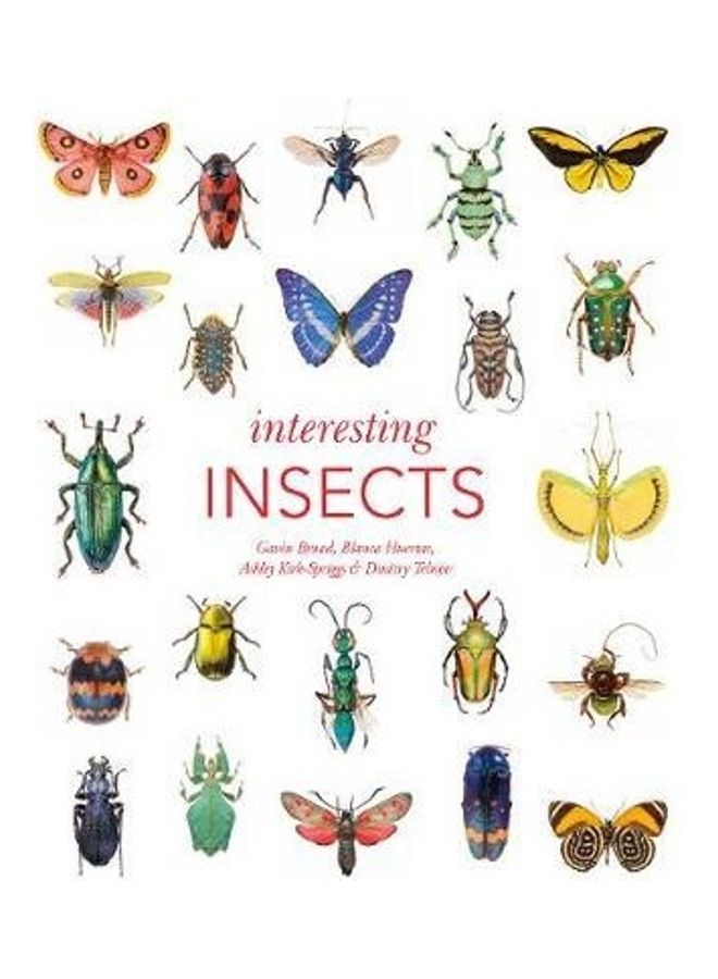 Interesting Insects paperback english 