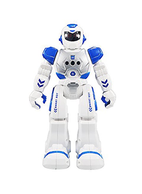 RC Intelligent Programmable Robot