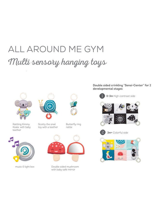 Taf Toys All Around Me Gym  - Image 4