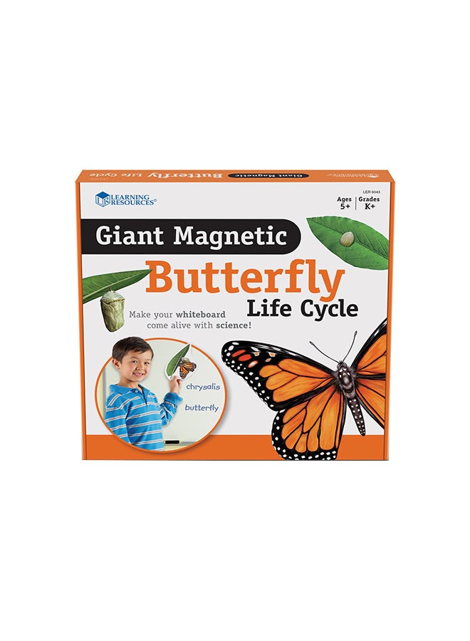 Learning Resources Giant Magnetic Butterfly Life Cycle (9-Piece Set, Whiteboard Ready, Ages 5+) - Image 3