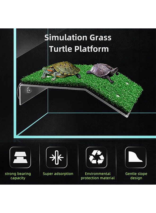 Turtle Ramp Platform Green 25x4x18cm - Image 2