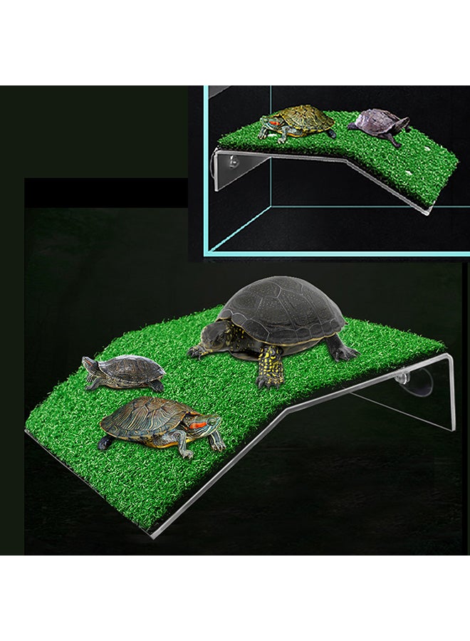 Turtle Ramp Platform Green 25x4x18cm - Image 4