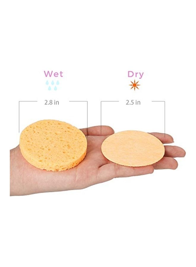 GAINWELL Compressed Facial Sponges Orange  - Image 4