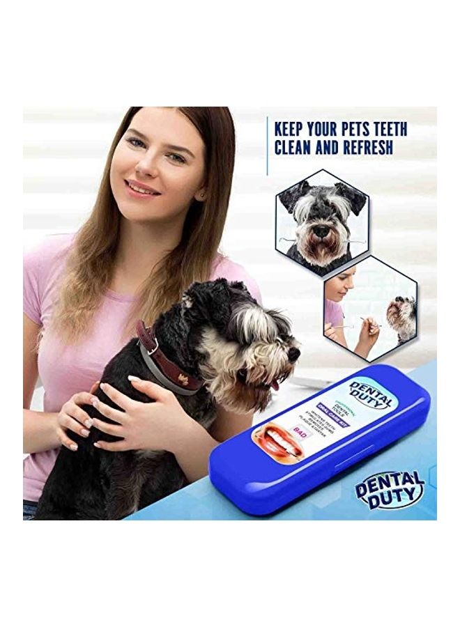 Dental Duty Stainless Steel Calculus and Plaque Remover Set Silver/Blue - Image 4