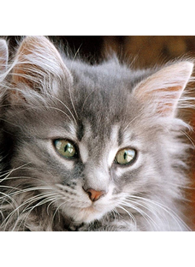 كلمينتوني أحجية قطع تركيب هاي كواليتي كولكشن على شكل قطط صغيرة من 500 قطعة - Image 3