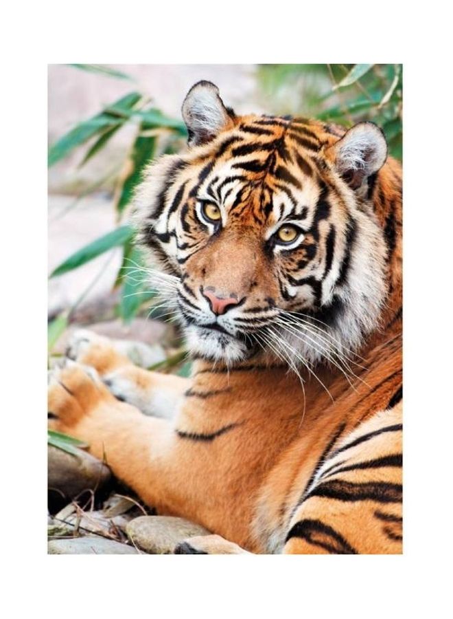 Clementoni 1000-Piece Puzzle Sumatran Tiger - Image 2