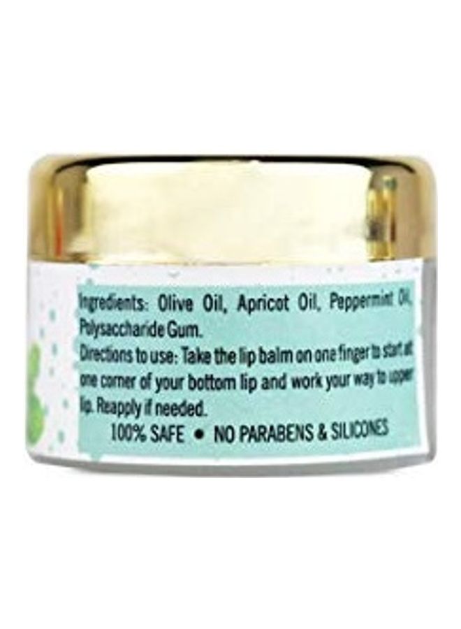 إناتور جل إيناتور العضوي للشفاه بخلاصة النعناع أبيض 110جرام - Image 2