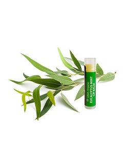 Sky Organics 6-Piece Organic Lip Balms Yellow 24grams  - Image 3