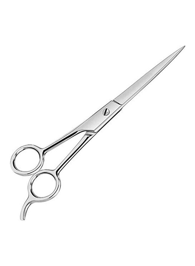 DANIAL Salon Barber Scissors Silver - Image 1